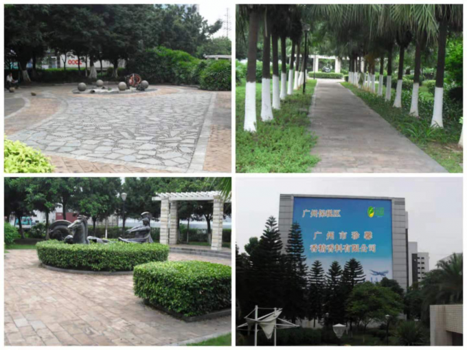 अनुकूलन तरल स्वाद कंसंट्रेट ताजा कीवी आइसक्रीम स्वाद आइसक्रीम के उत्पादन के लिए 10