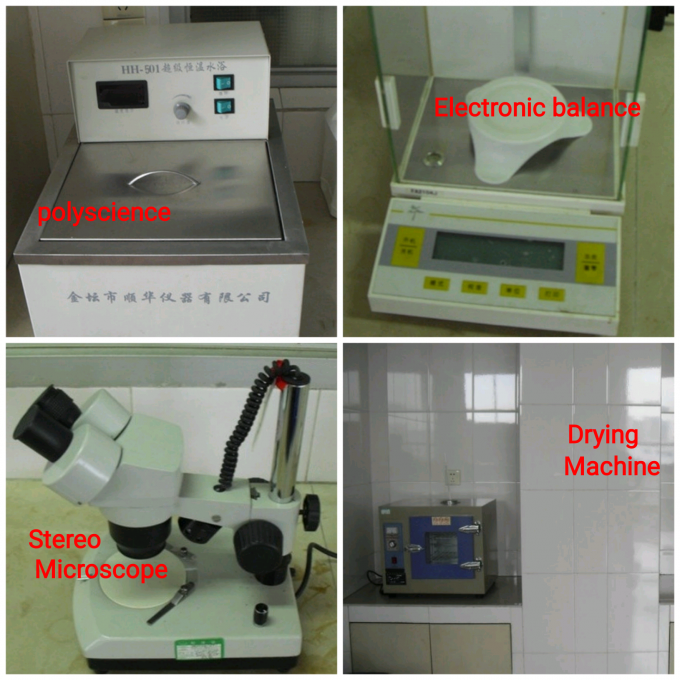अनुकूलन तरल स्वाद कंसंट्रेट ताजा कीवी आइसक्रीम स्वाद आइसक्रीम के उत्पादन के लिए 13